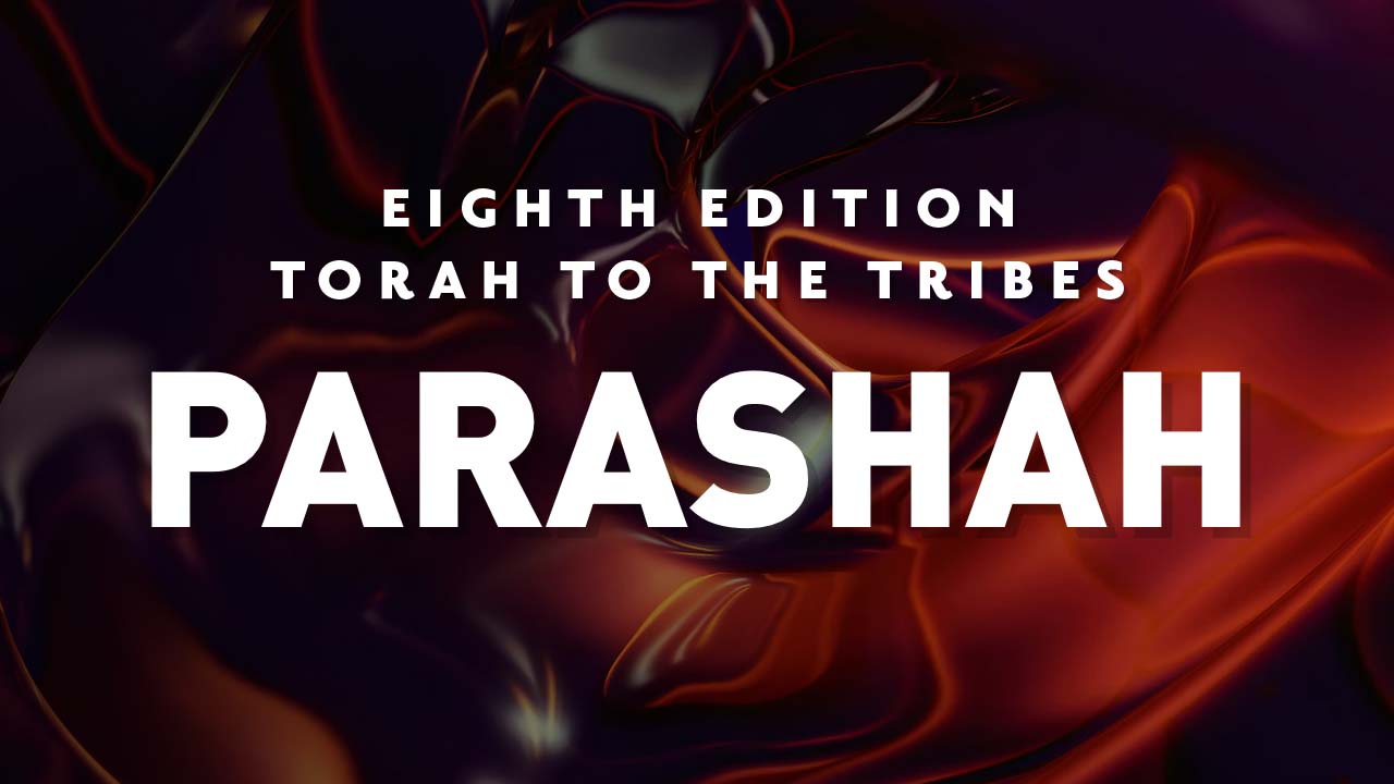 Parashah Teaching Archive - Torah to the Tribes